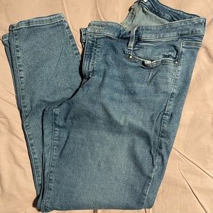Lane Bryant Mid Rise Skinny Jeans